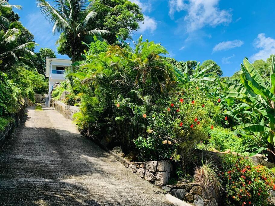 Crystal Apartments Seychelles Seaview Ground Floor Glacis  Exteriör bild